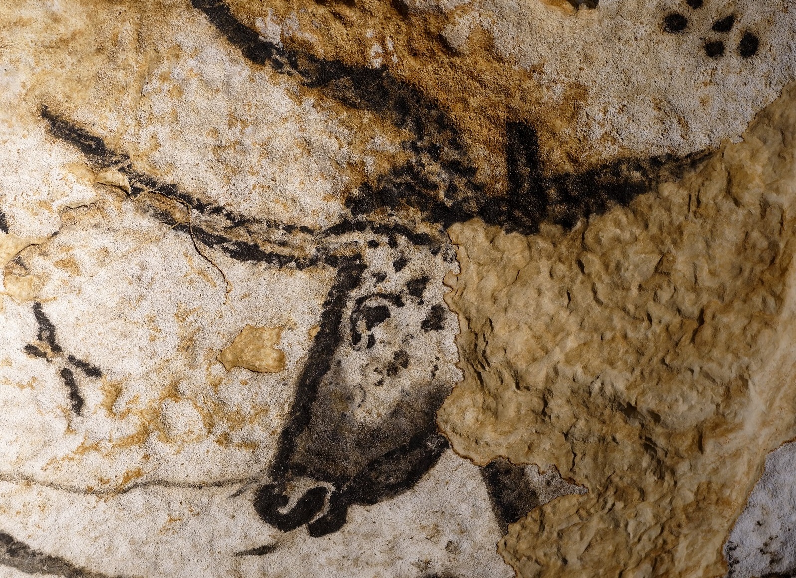 Lascaux II Cave Reconstruction Gazechim   RIU 0882©JulienRiou Copier 1 